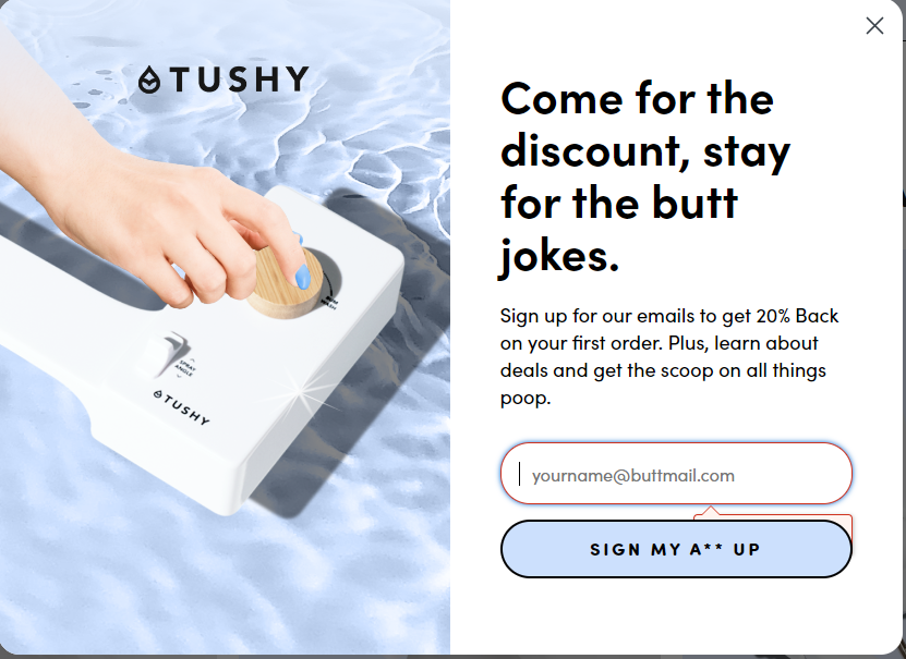 A funny popup ad/visual from Tushy, a bidet company.